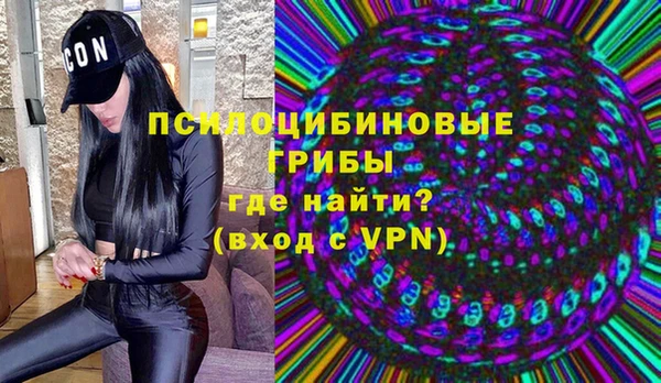 ГАЛЛЮЦИНОГЕННЫЕ ГРИБЫ Бронницы